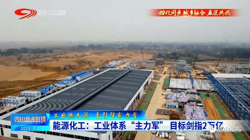 环保型有机化工原料替代品：绿色转型的关键选择**